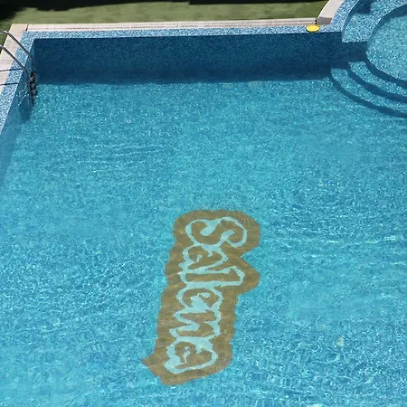 Hotel Salena