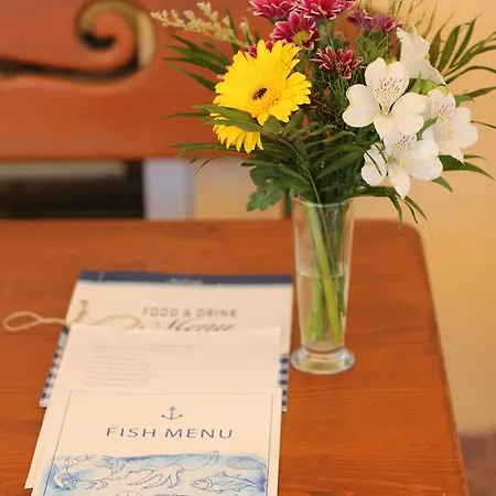 Hotel Salena