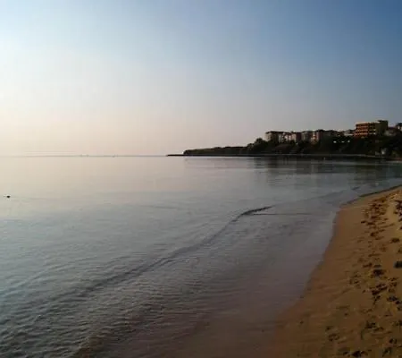 Salena Hotel 3*